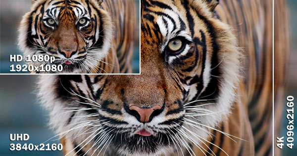 What is UHD and 4K video - Download 4K and UHD video
