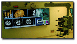 UCLA's Laboratory of Neuro Imaging Presents Advanced Immersive Visualization
