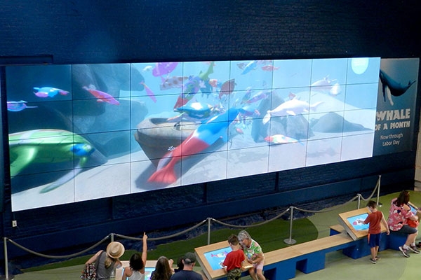 Maritime Aquarium video wall 